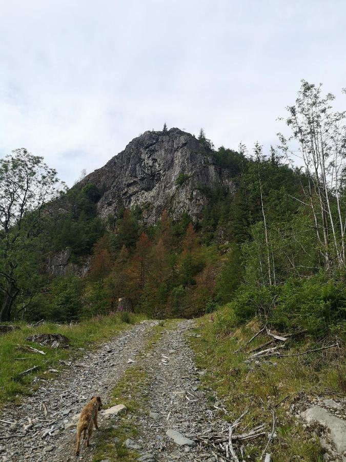הוילה Thirlmere Stybeck Farm מראה חיצוני תמונה