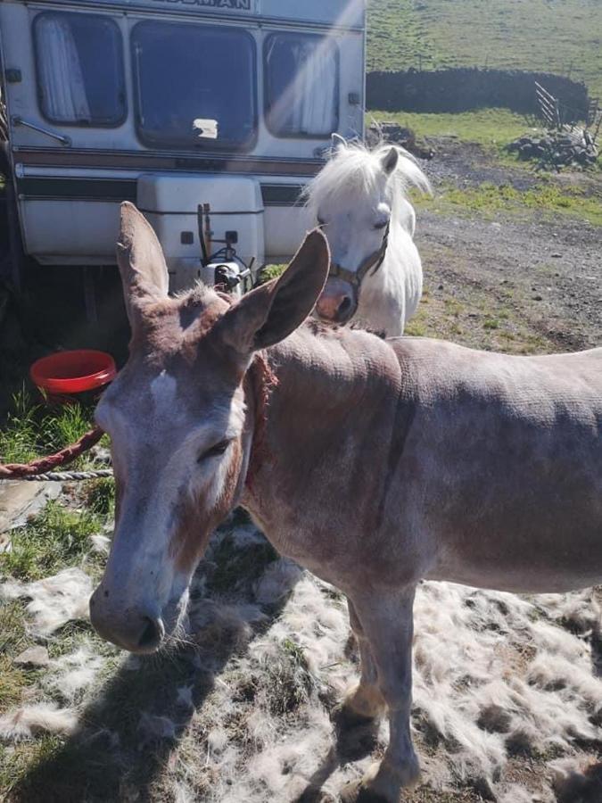 הוילה Thirlmere Stybeck Farm מראה חיצוני תמונה