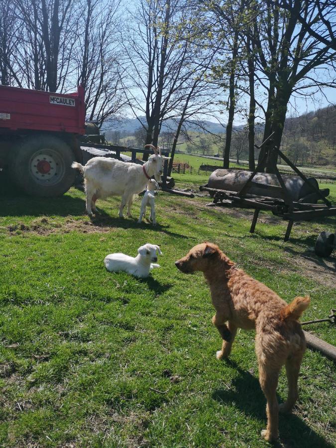 הוילה Thirlmere Stybeck Farm מראה חיצוני תמונה